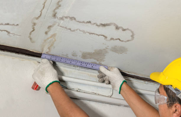 Reliable Burst Pipe Cleanup contractor in Somerville, AL by Water Damage Irwin